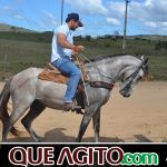 9ª Grande Cavalgada Na Terra do Forró reúne milhares de cavaleiros e amazonas em Ibicuí 563