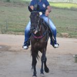 9ª Grande Cavalgada Na Terra do Forró reúne milhares de cavaleiros e amazonas em Ibicuí 443