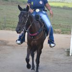 9ª Grande Cavalgada Na Terra do Forró reúne milhares de cavaleiros e amazonas em Ibicuí 623