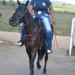 9ª Grande Cavalgada Na Terra do Forró reúne milhares de cavaleiros e amazonas em Ibicuí 486