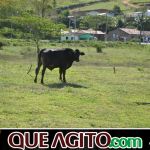 9ª Grande Cavalgada Na Terra do Forró reúne milhares de cavaleiros e amazonas em Ibicuí 559