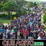 9ª Grande Cavalgada Na Terra do Forró reúne milhares de cavaleiros e amazonas em Ibicuí 709