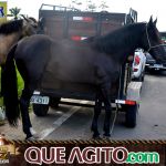 Verdadeiro sucesso a Cavalgada de 10 Anos de Marcha da Amizade em Itabuna 298