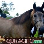 Verdadeiro sucesso a Cavalgada de 10 Anos de Marcha da Amizade em Itabuna 482