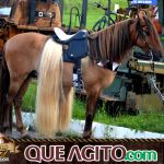 Verdadeiro sucesso a Cavalgada de 10 Anos de Marcha da Amizade em Itabuna 373