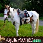 Verdadeiro sucesso a Cavalgada de 10 Anos de Marcha da Amizade em Itabuna 460