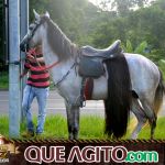 Verdadeiro sucesso a Cavalgada de 10 Anos de Marcha da Amizade em Itabuna 141