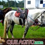 Verdadeiro sucesso a Cavalgada de 10 Anos de Marcha da Amizade em Itabuna 247