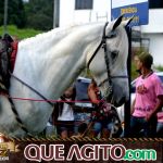 Verdadeiro sucesso a Cavalgada de 10 Anos de Marcha da Amizade em Itabuna 320