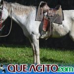 O Vaqueiro Cantador agita a 2ª Grande Cavalgada de Jacarecy 608