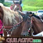 Verdadeiro sucesso a Cavalgada de 10 Anos de Marcha da Amizade em Itabuna 276