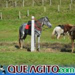 O Vaqueiro Cantador agita a 2ª Grande Cavalgada de Jacarecy 492