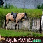 Verdadeiro sucesso a Cavalgada de 10 Anos de Marcha da Amizade em Itabuna 239