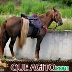 Verdadeiro sucesso a Cavalgada de 10 Anos de Marcha da Amizade em Itabuna 527