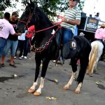 Verdadeiro sucesso a Cavalgada de 10 Anos de Marcha da Amizade em Itabuna 470
