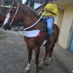 O Vaqueiro Cantador agita a 2ª Grande Cavalgada de Jacarecy 440