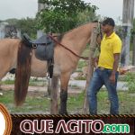 5º Encontro Amigos do Cavalo reúne milhares de cavaleiros e amazonas em Canavieiras 629