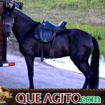 Verdadeiro sucesso a Cavalgada de 10 Anos de Marcha da Amizade em Itabuna 353