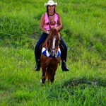 Verdadeiro sucesso a Cavalgada de 10 Anos de Marcha da Amizade em Itabuna 281