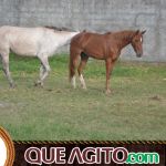 5º Encontro Amigos do Cavalo reúne milhares de cavaleiros e amazonas em Canavieiras 112