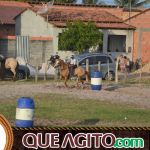 5º Encontro Amigos do Cavalo reúne milhares de cavaleiros e amazonas em Canavieiras 502