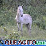 O Vaqueiro Cantador agita a 2ª Grande Cavalgada de Jacarecy 529