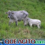 O Vaqueiro Cantador agita a 2ª Grande Cavalgada de Jacarecy 104