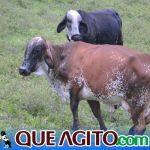 O Vaqueiro Cantador agita a 2ª Grande Cavalgada de Jacarecy 358