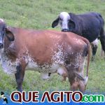 O Vaqueiro Cantador agita a 2ª Grande Cavalgada de Jacarecy 301