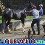 O Vaqueiro Cantador agita a 2ª Grande Cavalgada de Jacarecy 607