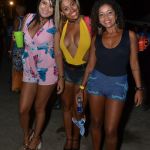 Canavieiras: Milhares de foliões prestigiam a 4ª edição do Birita Fest 306