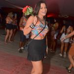 Grandes nomes da música baiana encerram a 21ª edição do CarnaPorto 69