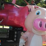 Bloco CarnaPorco é encerrado ao som de muito axé 186