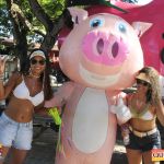 Bloco CarnaPorco é encerrado ao som de muito axé 29