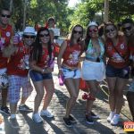 Bloco CarnaPorco é encerrado ao som de muito axé 173