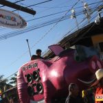 Bloco CarnaPorco é encerrado ao som de muito axé 118