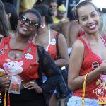 Bloco CarnaPorco é encerrado ao som de muito axé 162