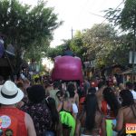 Bloco CarnaPorco é encerrado ao som de muito axé 7