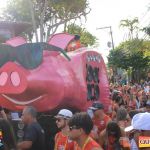 Bloco CarnaPorco ferveu Arraial d’Ajuda neste sábado de Carnaval 67