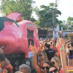 Bloco CarnaPorco ferveu Arraial d’Ajuda neste sábado de Carnaval 83