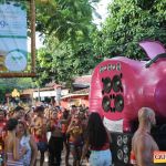 Bloco CarnaPorco ferveu Arraial d’Ajuda neste sábado de Carnaval 110