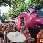 Bloco CarnaPorco ferveu Arraial d’Ajuda neste sábado de Carnaval 959