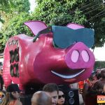 Bloco CarnaPorco ferveu Arraial d’Ajuda neste sábado de Carnaval 963