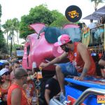 Bloco CarnaPorco ferveu Arraial d’Ajuda neste sábado de Carnaval 991