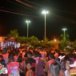 Bloco Vai Vendo o verdadeiro sucesso da Micareta de Pau Brasil 164