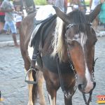 Devinho Novaes leva milhares de foliões ao delírio na 29ª Festa do Cavalo 78