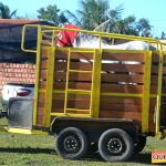 Milhares de cavaleiros e amazonas manteve o legado na 18ª edição da Cavalgada do Boinha 49