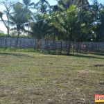 Milhares de cavaleiros e amazonas manteve o legado na 18ª edição da Cavalgada do Boinha 177