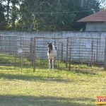 Milhares de cavaleiros e amazonas manteve o legado na 18ª edição da Cavalgada do Boinha 27