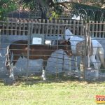 Milhares de cavaleiros e amazonas manteve o legado na 18ª edição da Cavalgada do Boinha 280